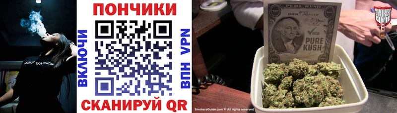Где найти наркотики Каргополь КОКАИН  Меф мяу мяу  А ПВП  ГАШ 