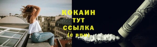 PSILOCYBIN Рославль