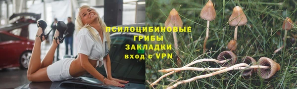 a pvp Алексин