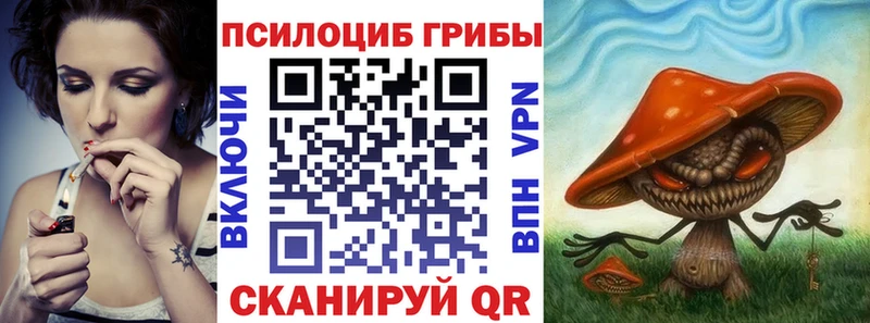 Псилоцибиновые грибы мухоморы  блэк спрут рабочий сайт  Каргополь  купить наркоту 